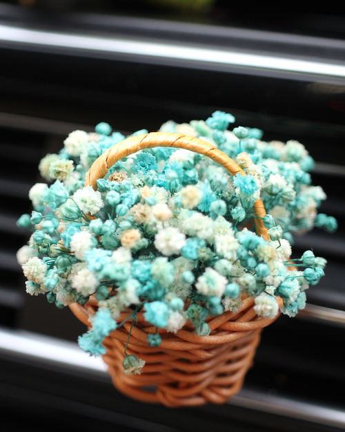 Basket Car Air Freshener