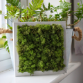 Green Moss Picture Frame