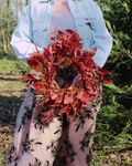 Beech Dried Flower Wreath