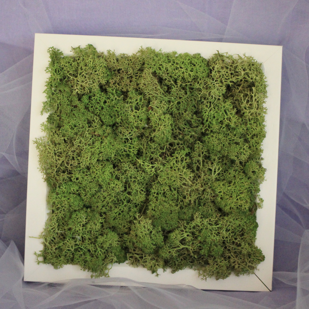 Green Moss Picture Frame