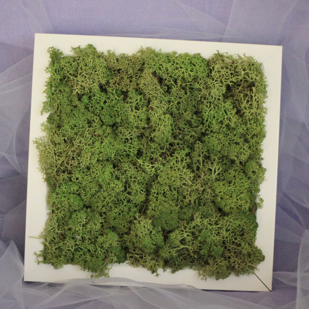 Green Moss Picture Frame