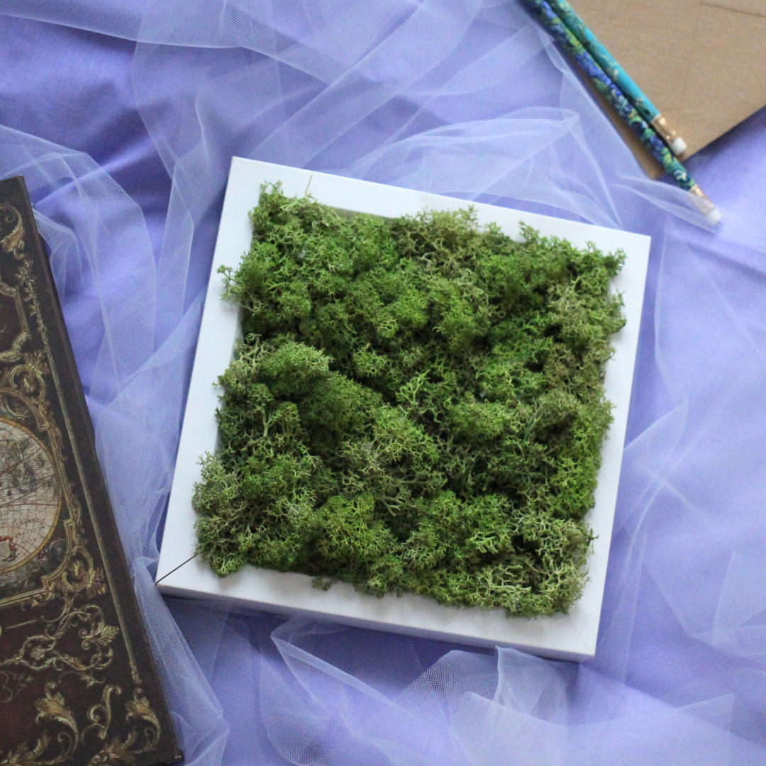 Green Moss Picture Frame