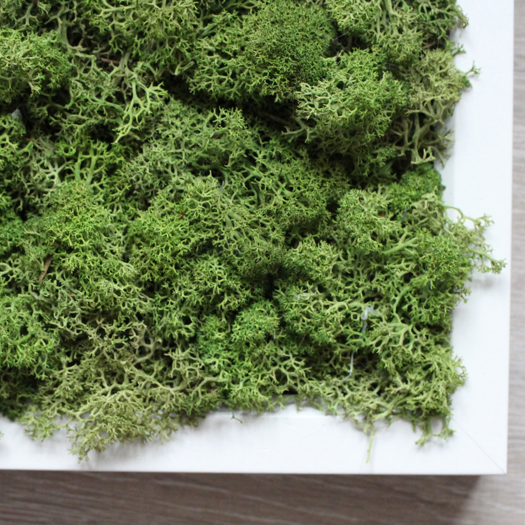 Green Moss Picture Frame
