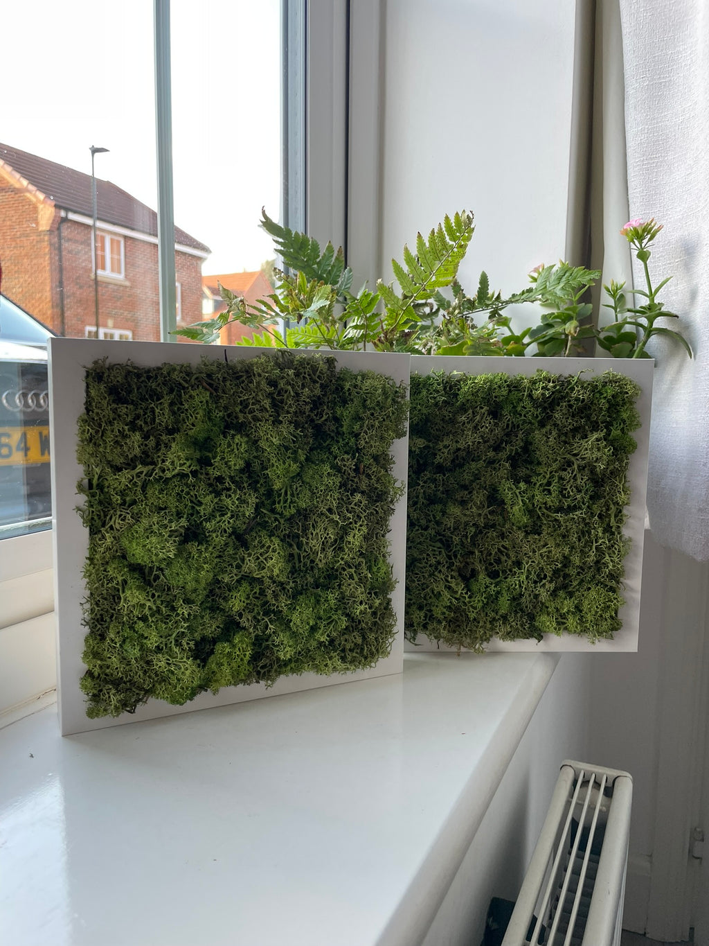 Green Moss Picture Frame
