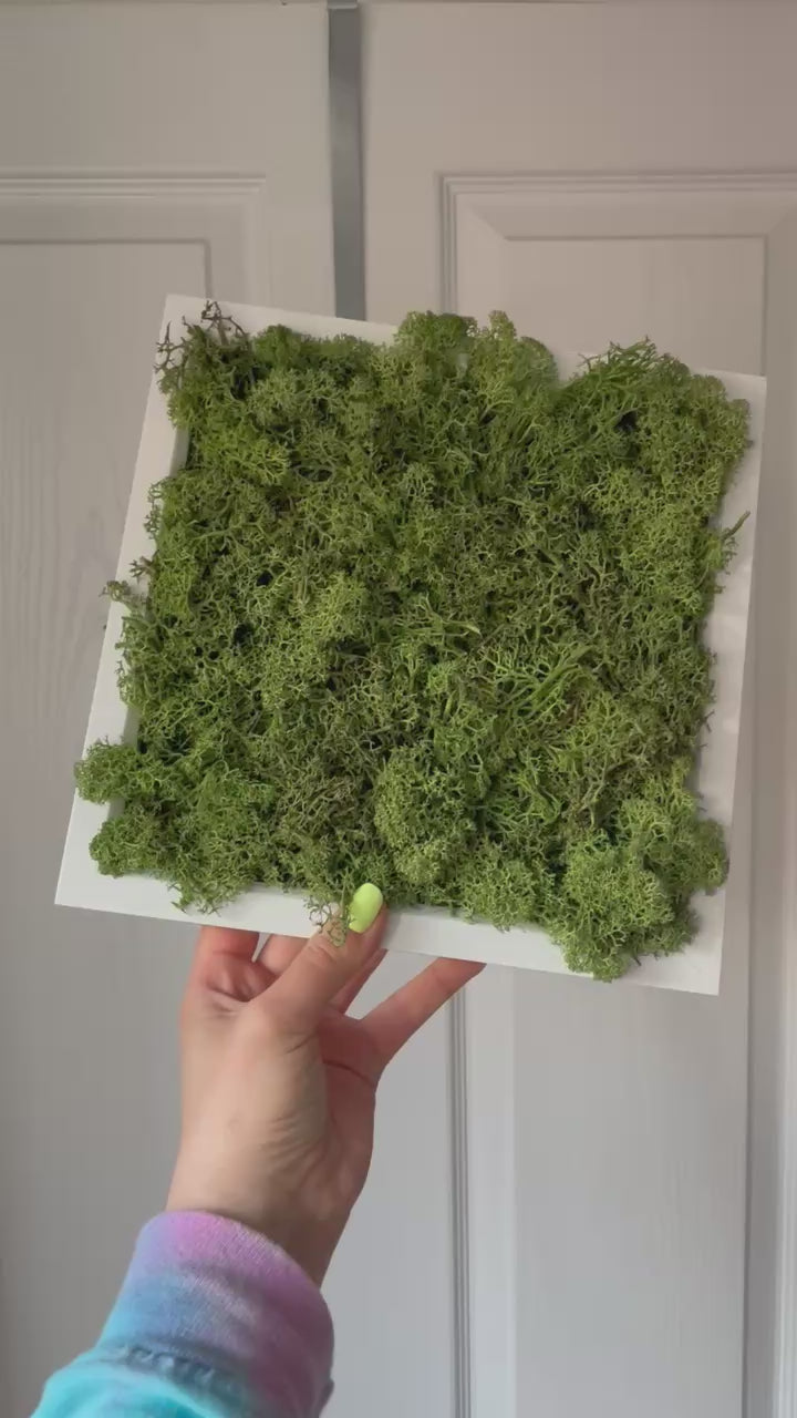 Green Moss Picture Frame